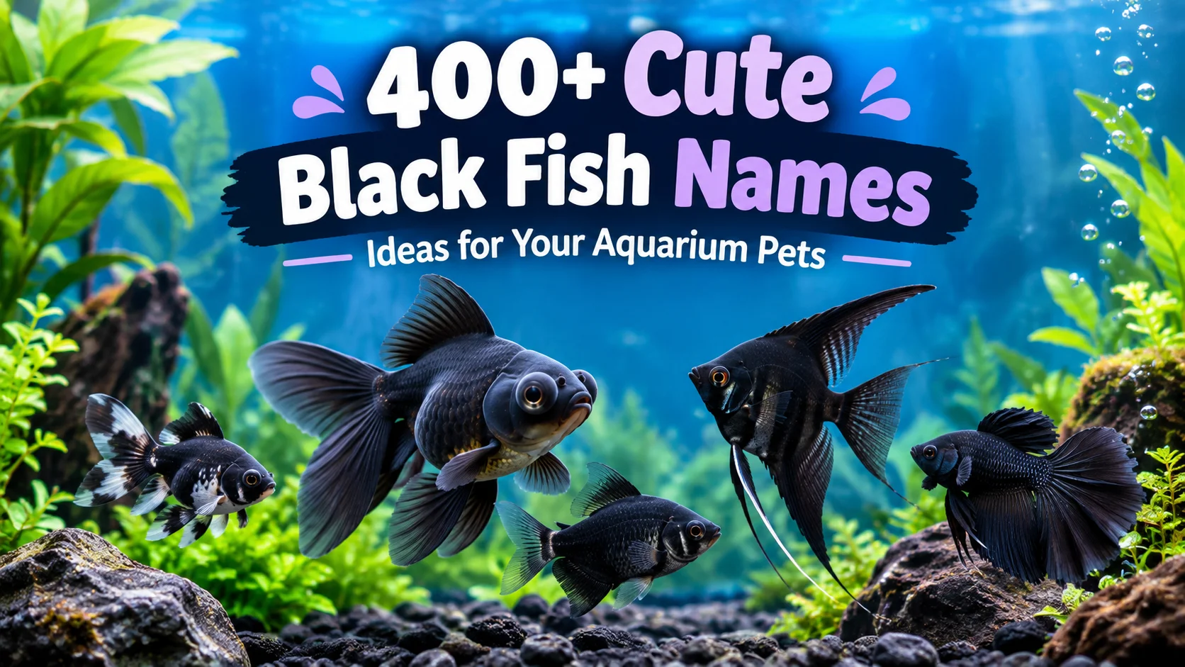cute-black-fish-name