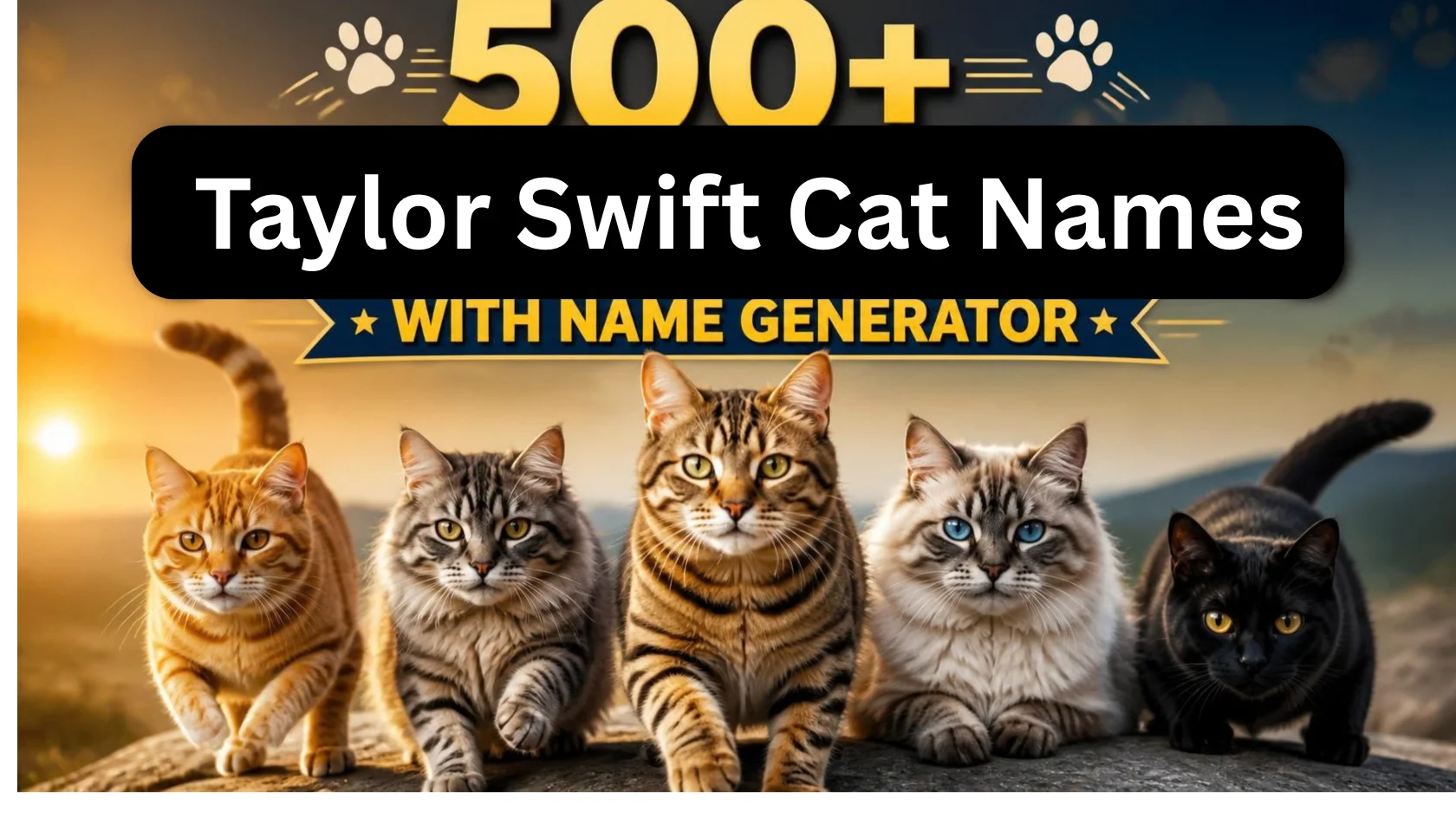 taylor-swift-cat-names-with-name-generator